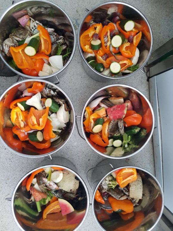 Waschbären - tierauffangstation.de